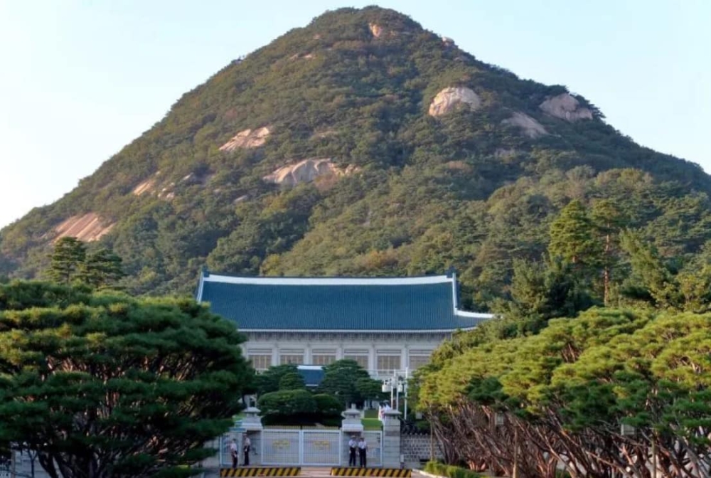 「青瓦台詛咒」謎團解開了 | 台派 DaiPai